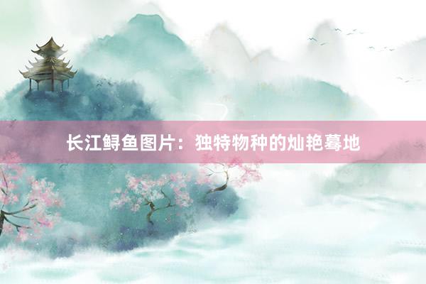 长江鲟鱼图片：独特物种的灿艳蓦地